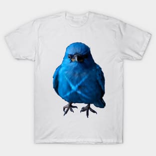 Blue Bird X T-Shirt